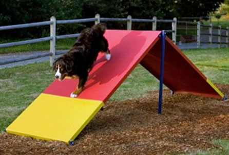 Dog-ON-It-Parks